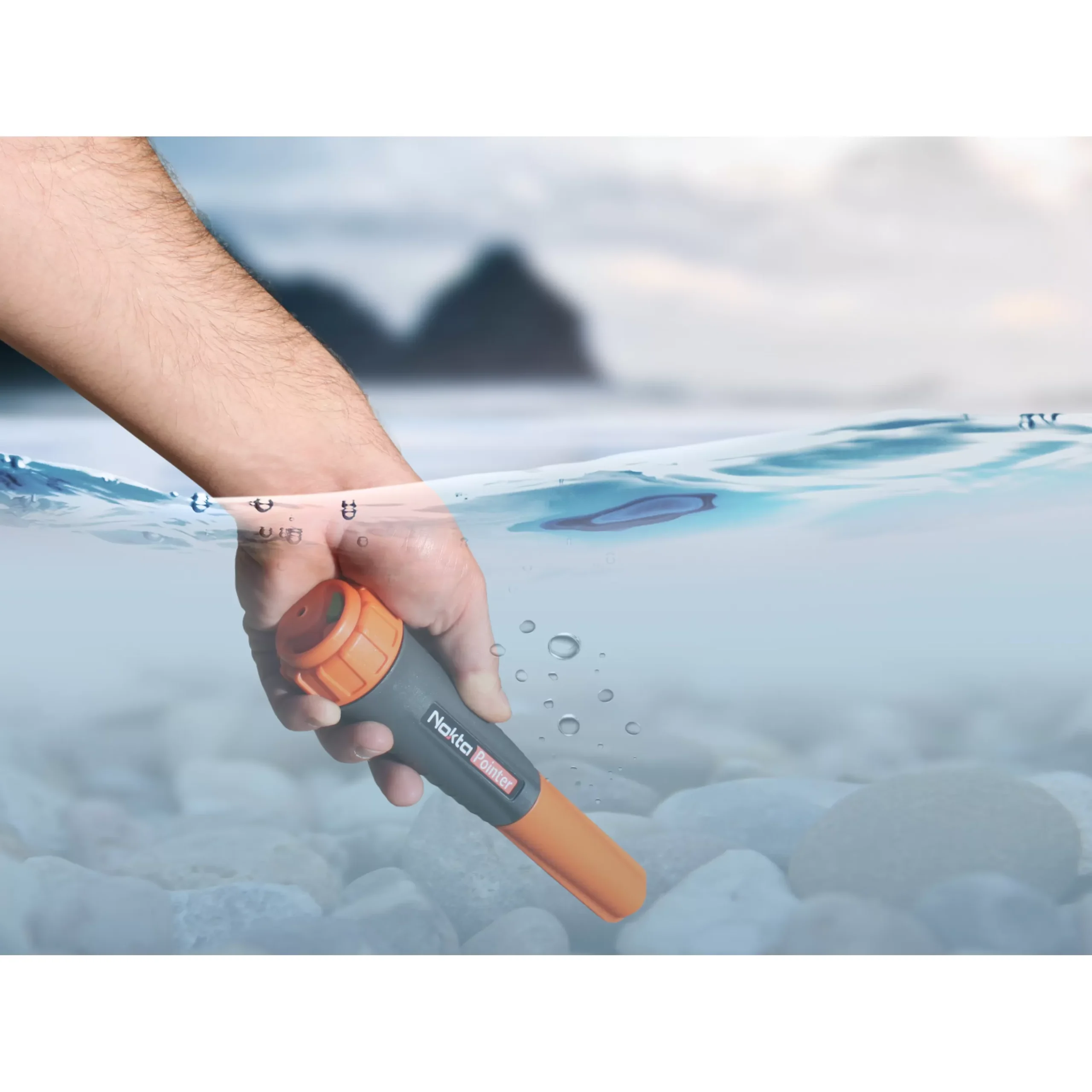 Nokta Pointer - Image 2