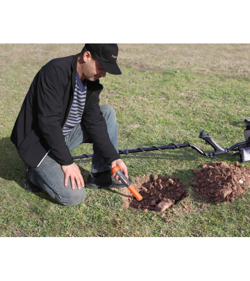 Nokta Pointer - Image 3